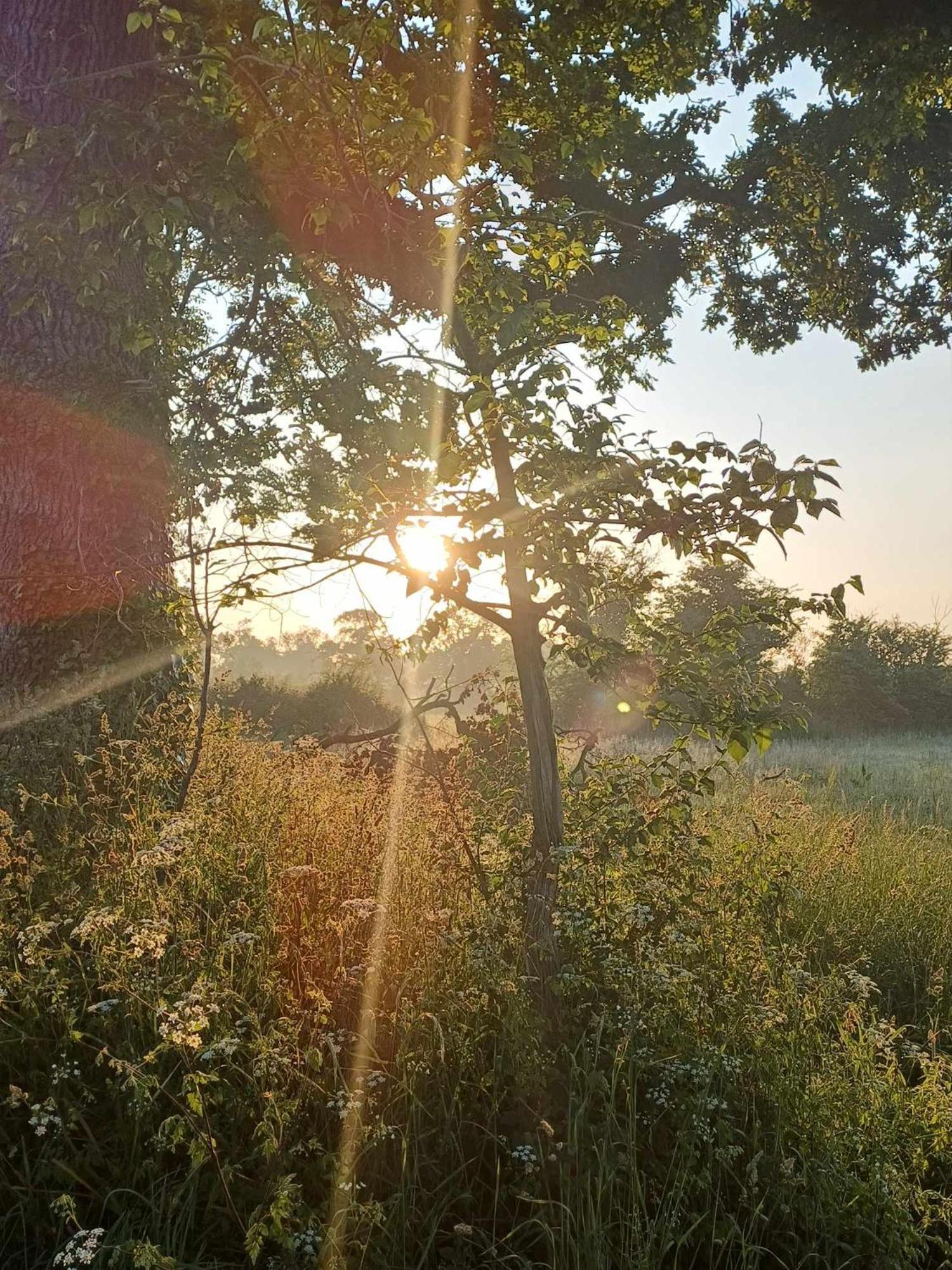 Bed and Breakfast Auxais Memory 44' Екстер'єр фото